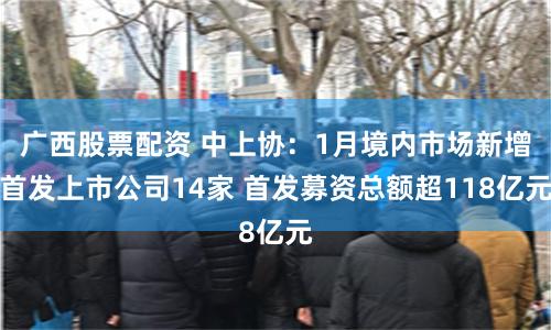 广西股票配资 中上协：1月境内市场新增首发上市公司14家 首发募资总额超118亿元