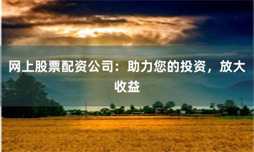 网上股票配资公司：助力您的投资，放大收益