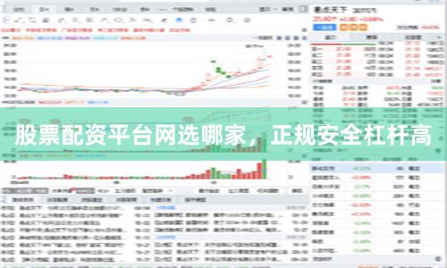 股票配资平台网选哪家，正规安全杠杆高