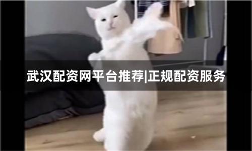 武汉配资网平台推荐|正规配资服务